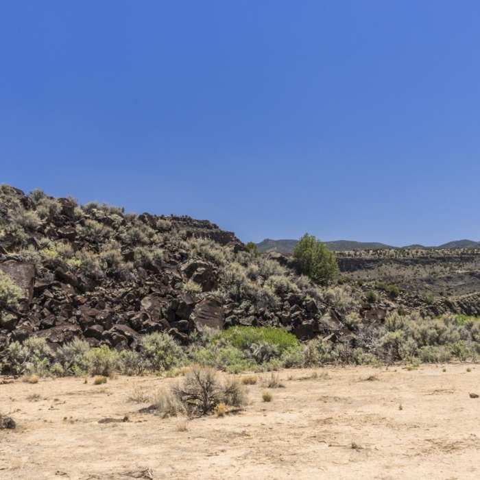 Near La Vista Verde Trail