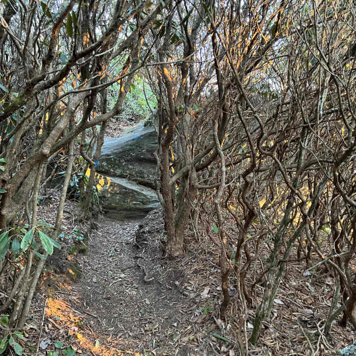 Near High Hampton Inn to Chimney Top Peak