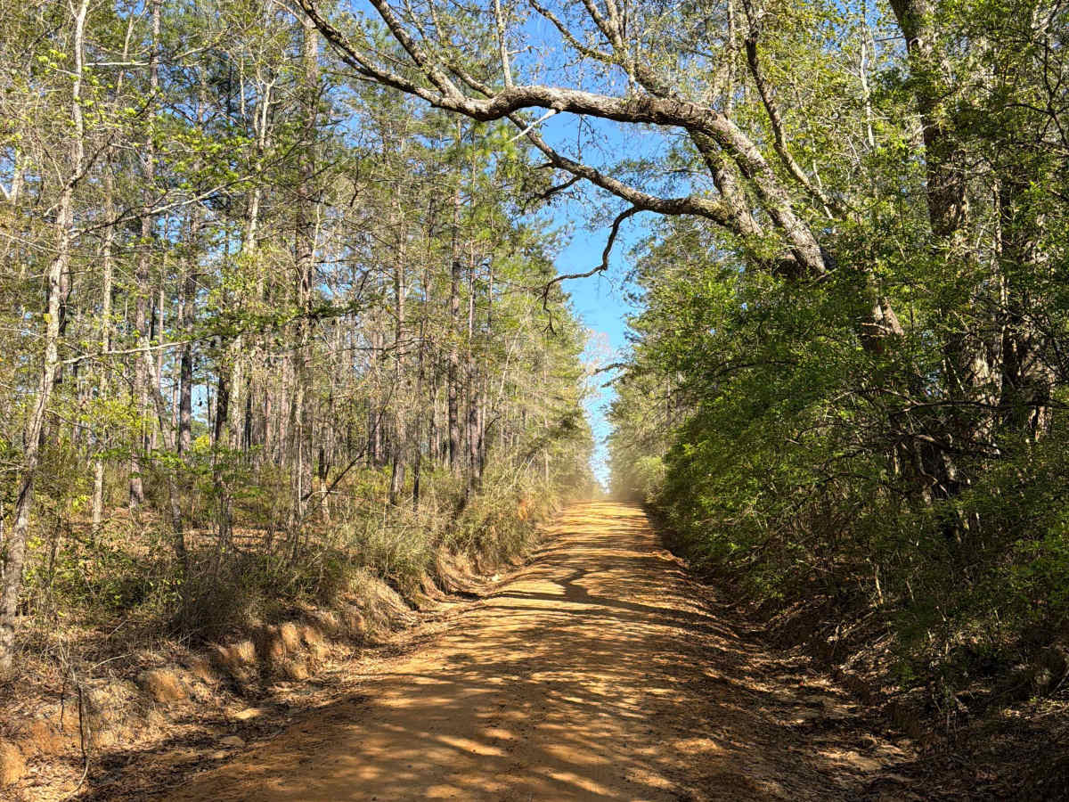 Mattie Kennedy Road photo 3