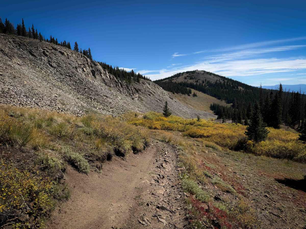Willow Creek Trail - FS 479  photo 4