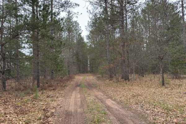 Saunter Trail