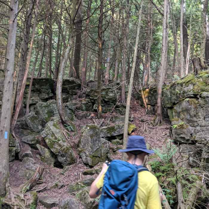 Easy technical trail at Metcalf to gain the top of the ridge Near Duncan Escarpment