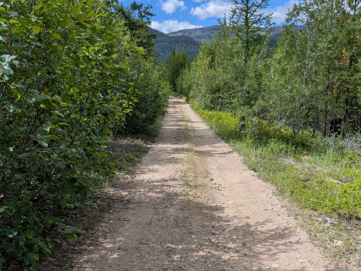 FS 3700-418 trail photo