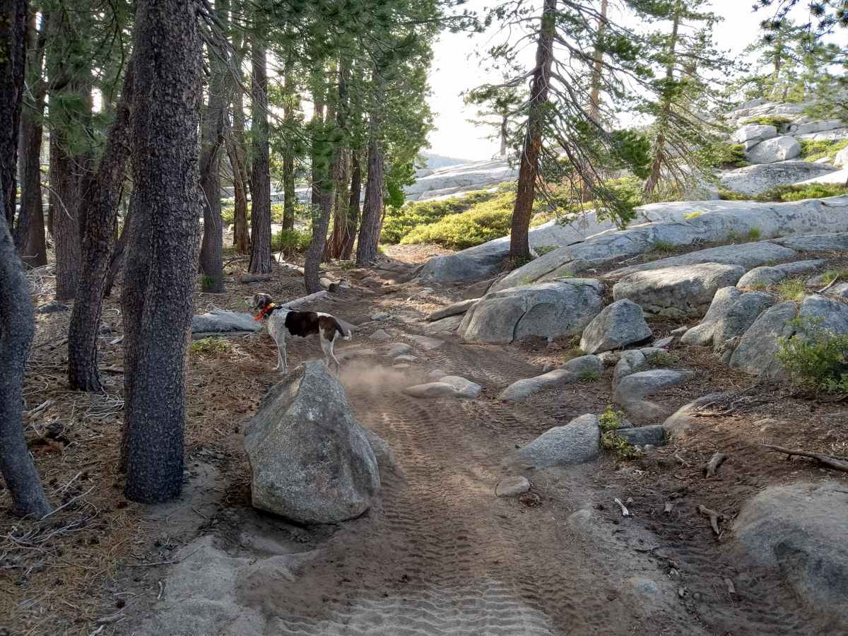 Granite View Loop photo 6