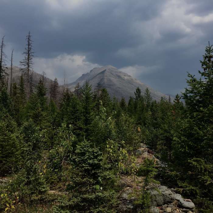 Near Coal Nyack Loop