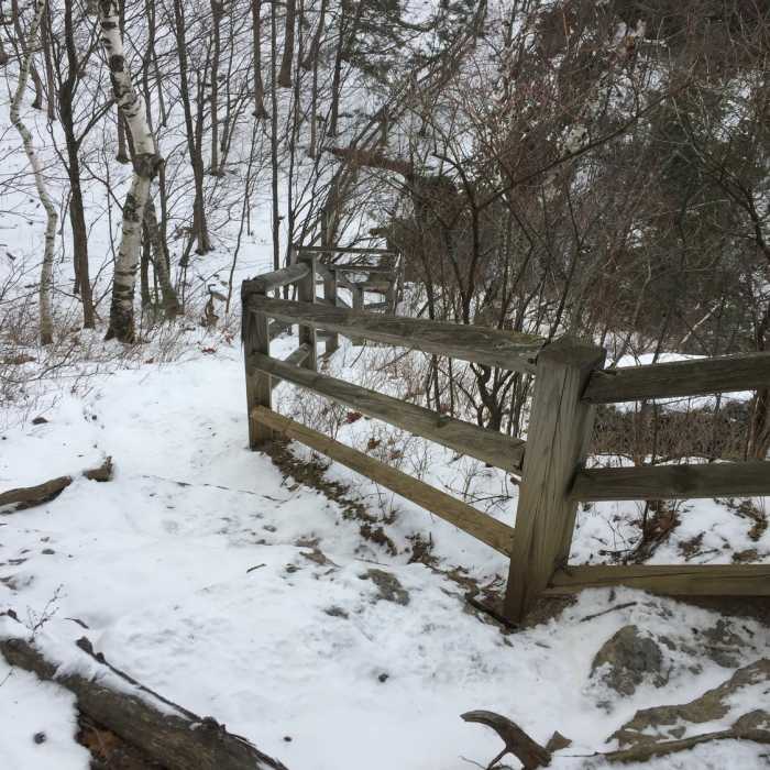 Near Escarpment Trail