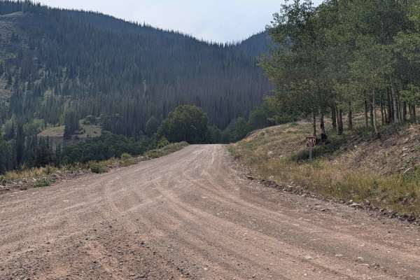 Three Forks Road - FS 247