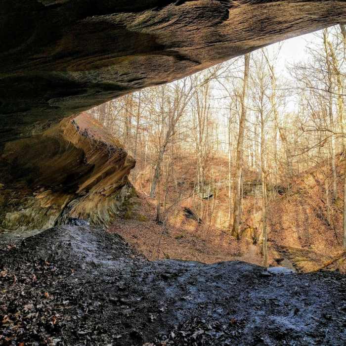 A view from inside the largest rock shelter. Near Low Gap Backcountry Trail
