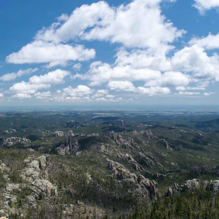 Near Black Elk Peak via Willow Creek Near Black Elk Peak via Willow Creek