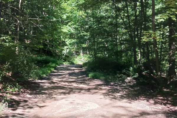 Trail 14 - Rock Run Recreation Area