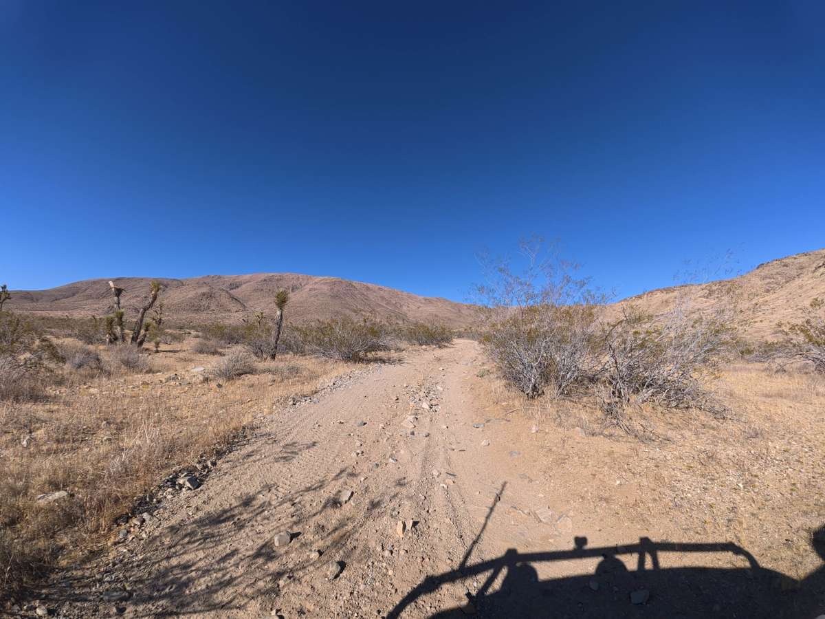 BLM SV2635 photo 2