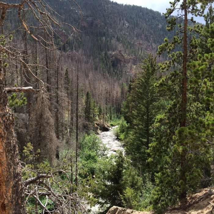 Near Fern Lake Trail