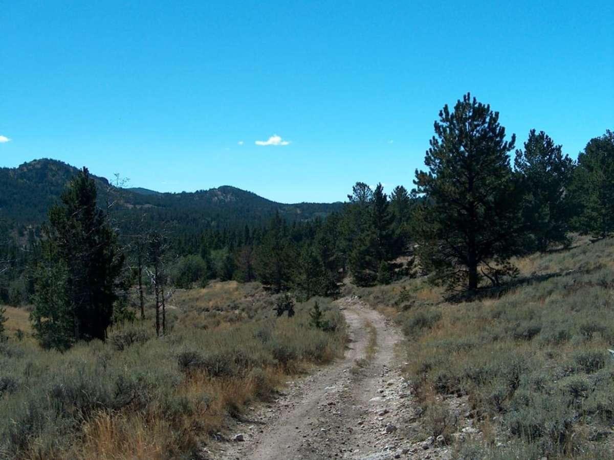 Big Bear Canyon/Devils Pass trail photo
