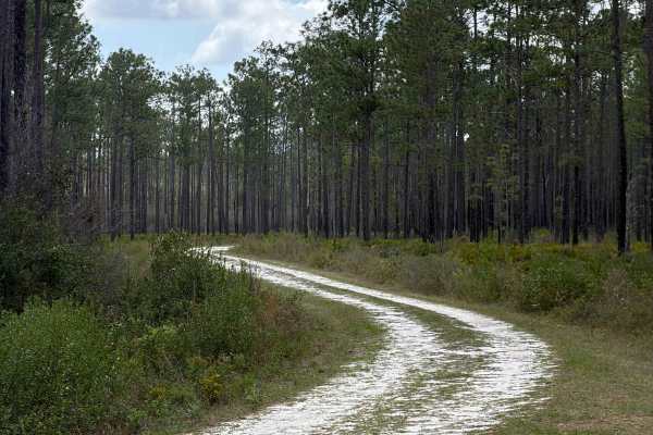 High Hill Creek - FS 316