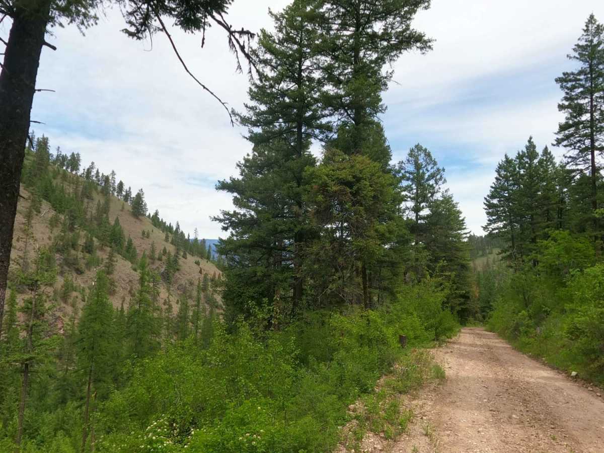 Corral Creek Rd 2146 photo 4