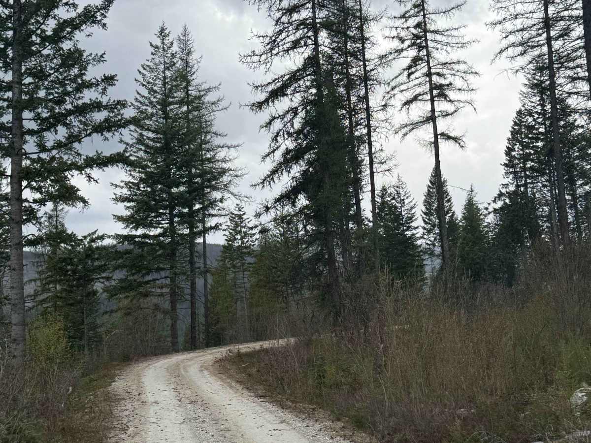 Goat Creek - FS 6100-215 photo 4