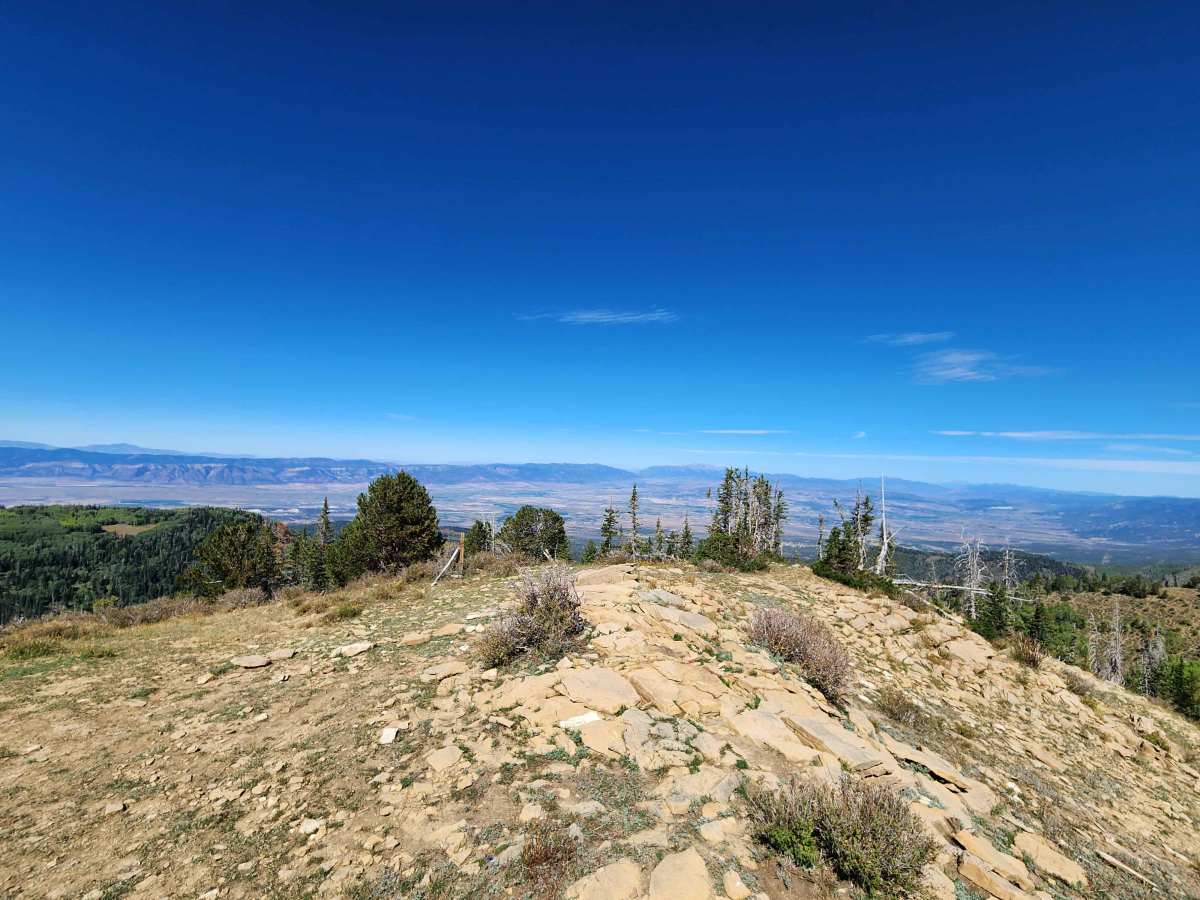 Haystack - FS 50279 photo 3