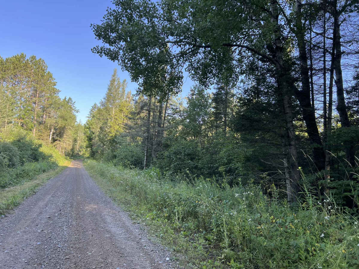 Tie Mill Road - FS 2402 photo 5