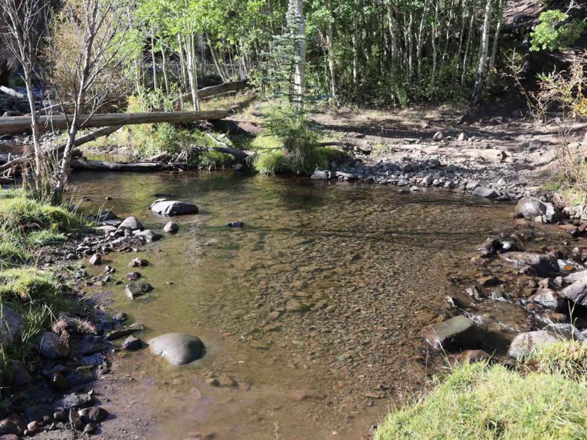 Burro Creek Trail photo 3