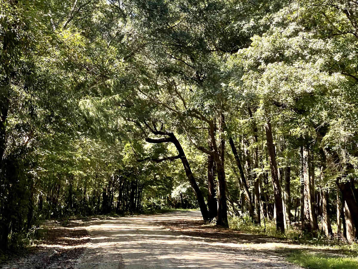 Lee Buck Road trail photo