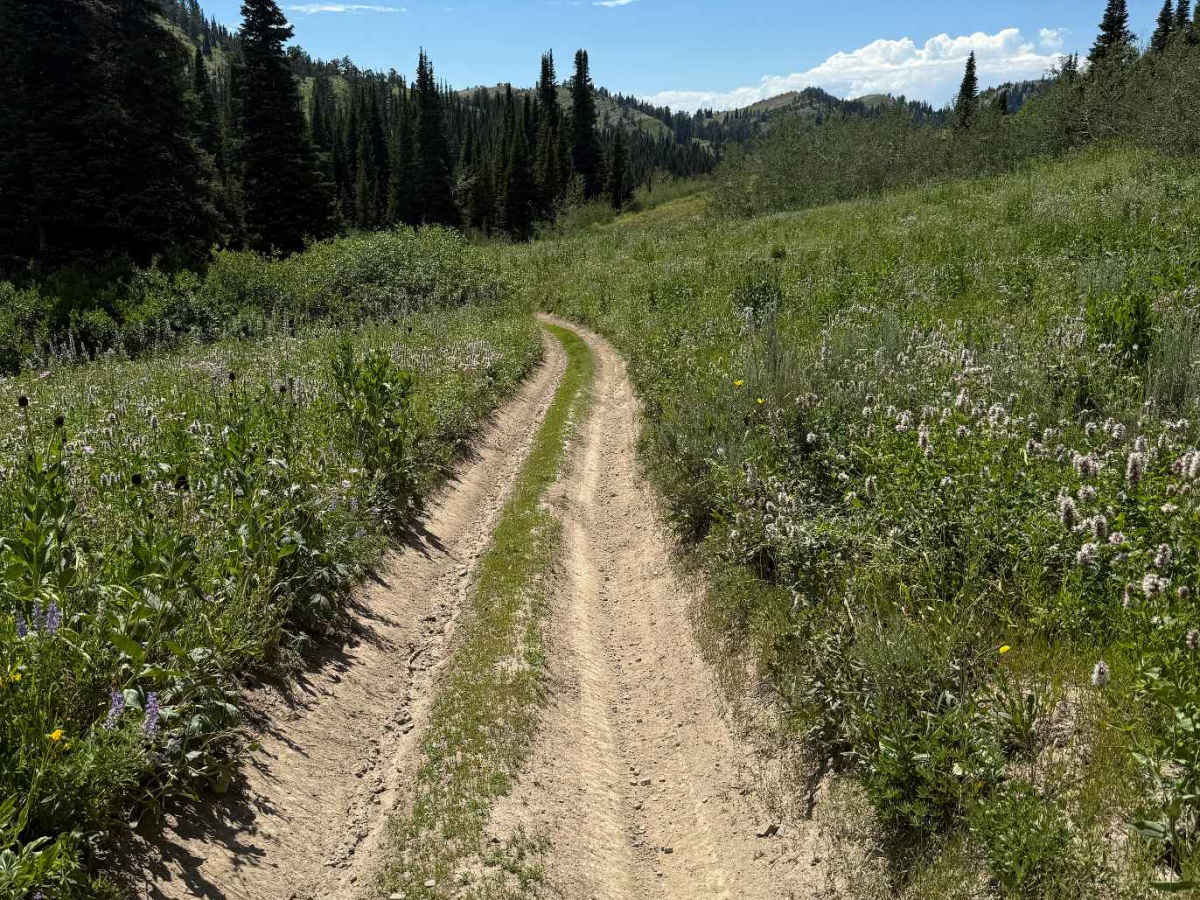Thousand Springs trail photo