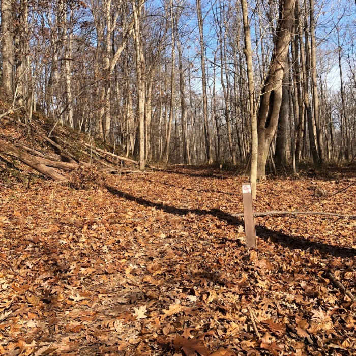 Near Cross County Trail (CCT)