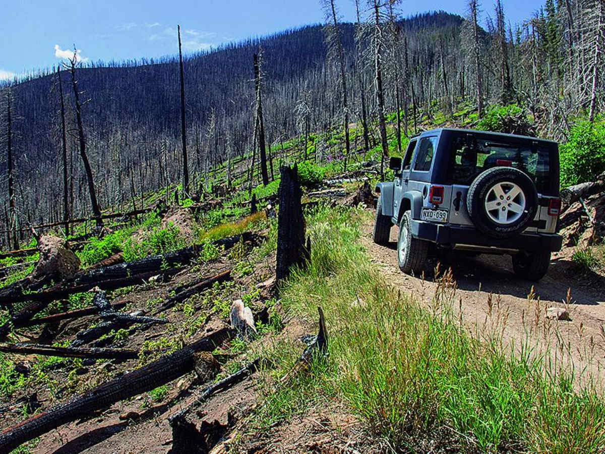 Hayden Pass trail photo
