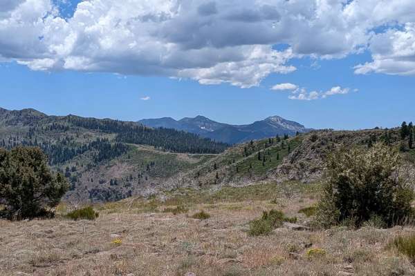 Two Road Road - FS 31358D