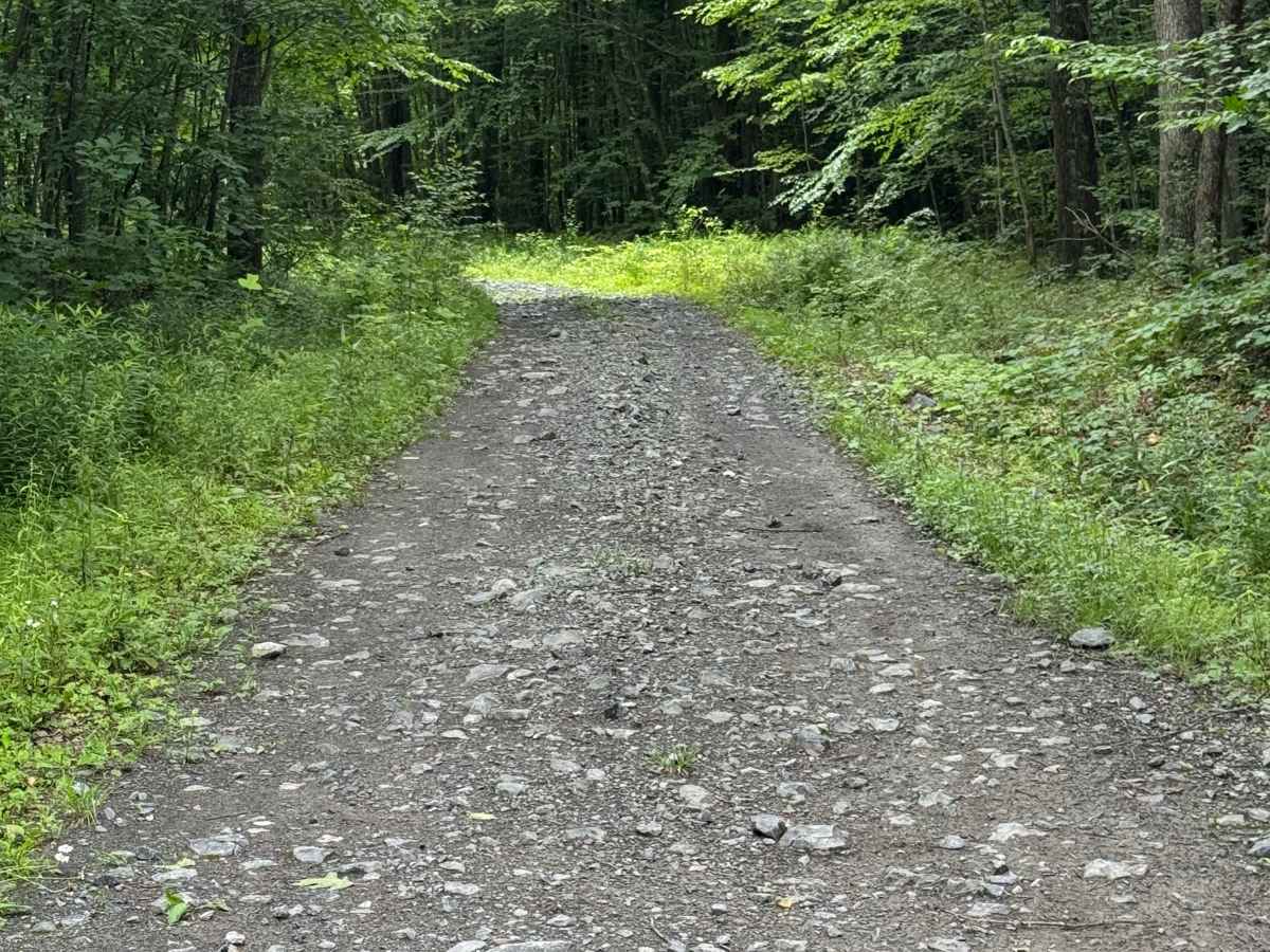 Trail 23 photo 2