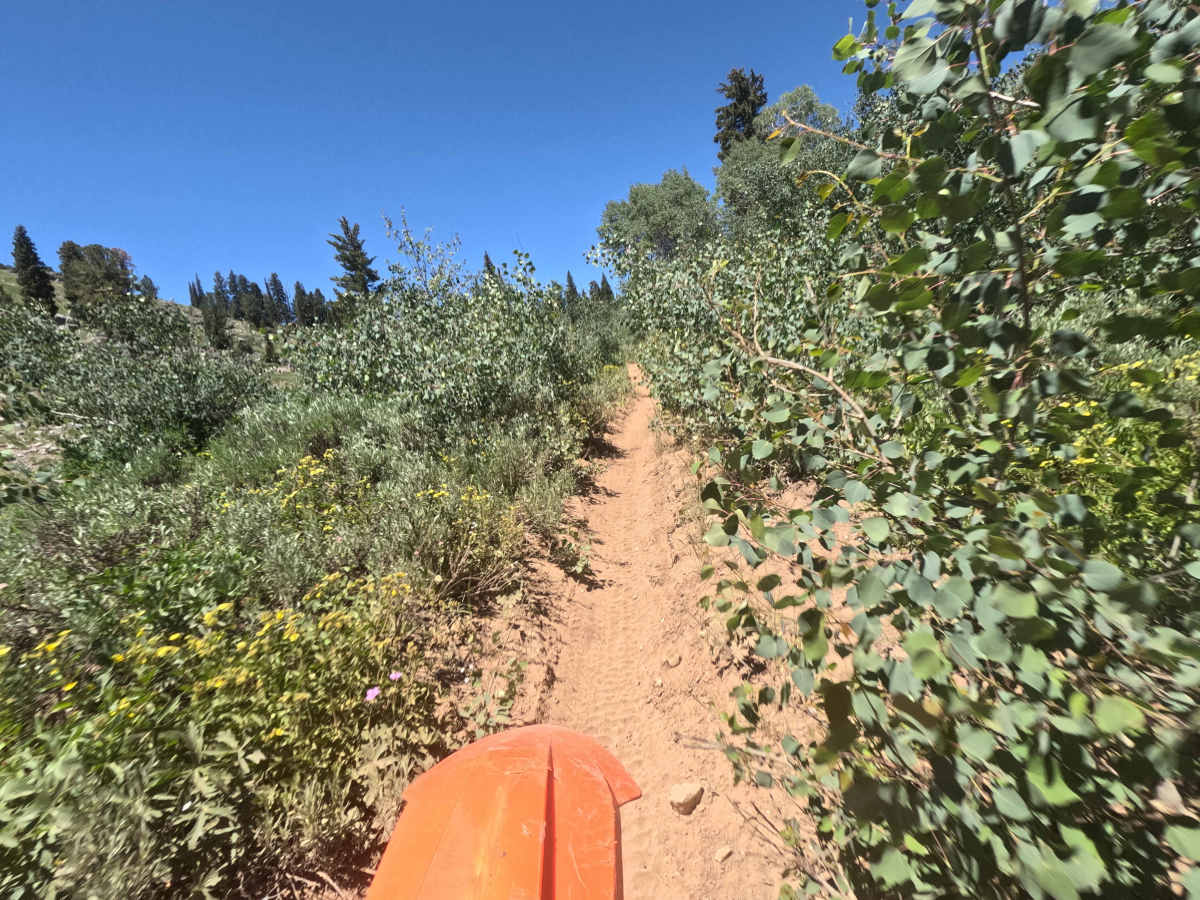 Highline Singletrack photo 2