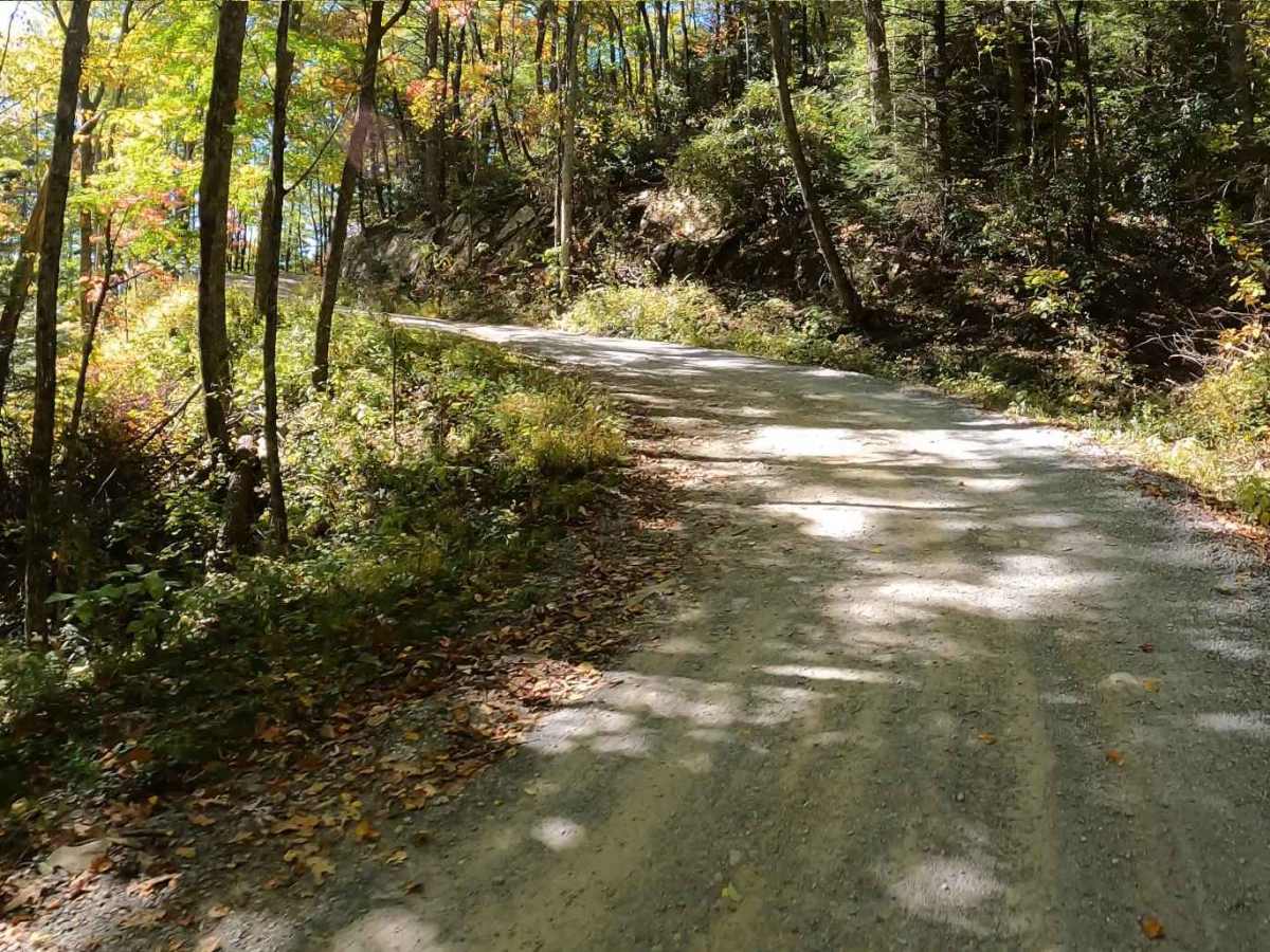 Viking Mountain Road photo 4