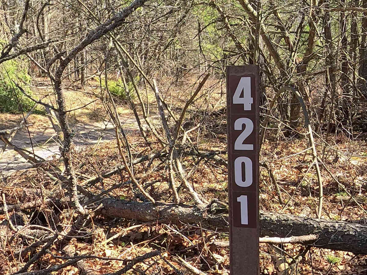 ORV H-57 - FS 4201 trail photo
