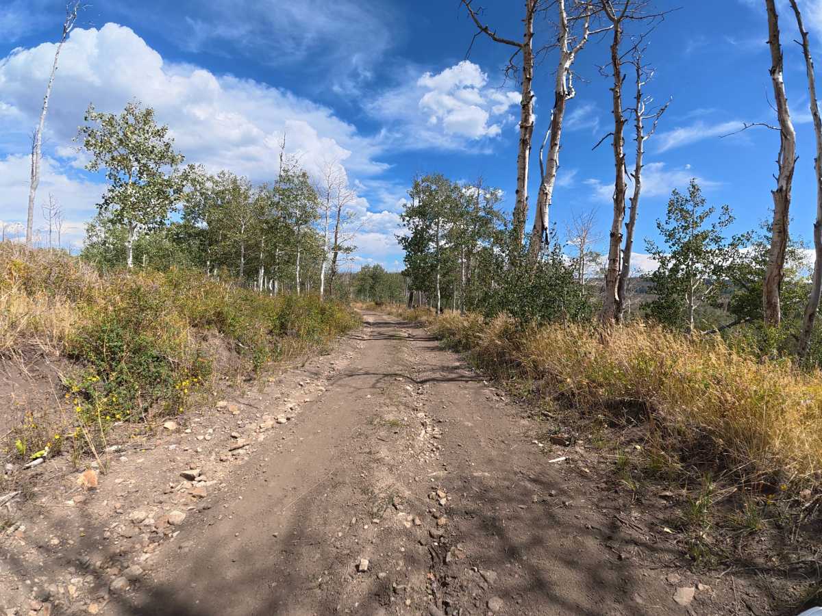 Calhoun Road photo 3
