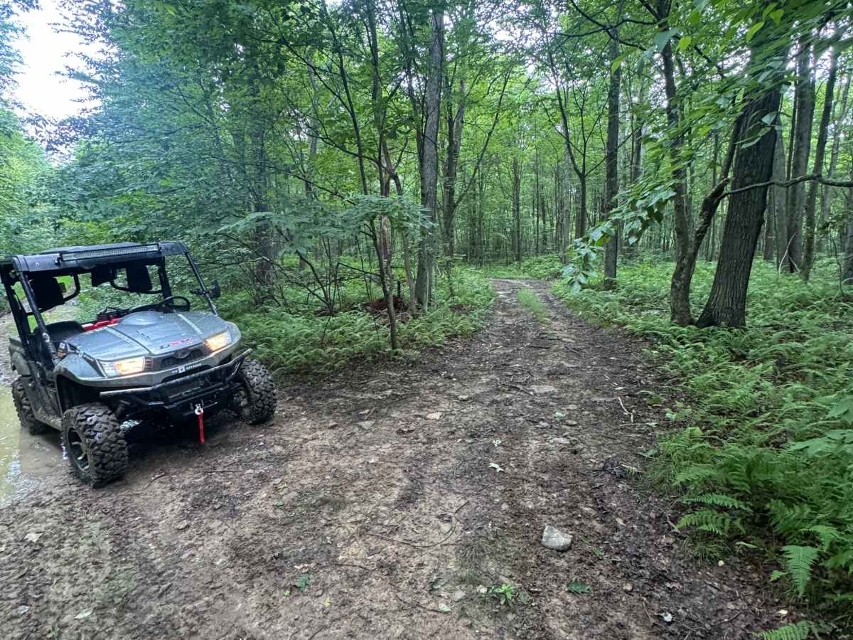 Trail 53 trail photo