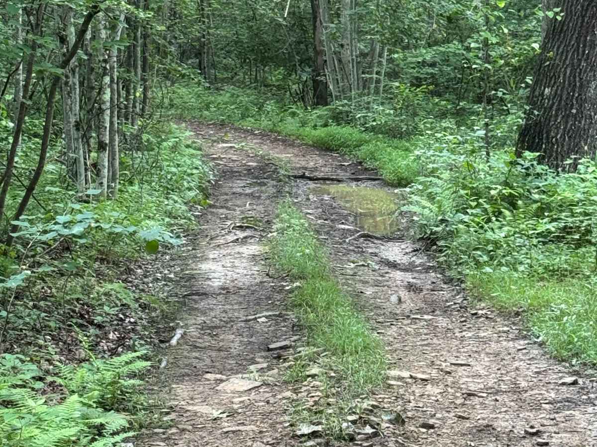 Trail 16 photo 5