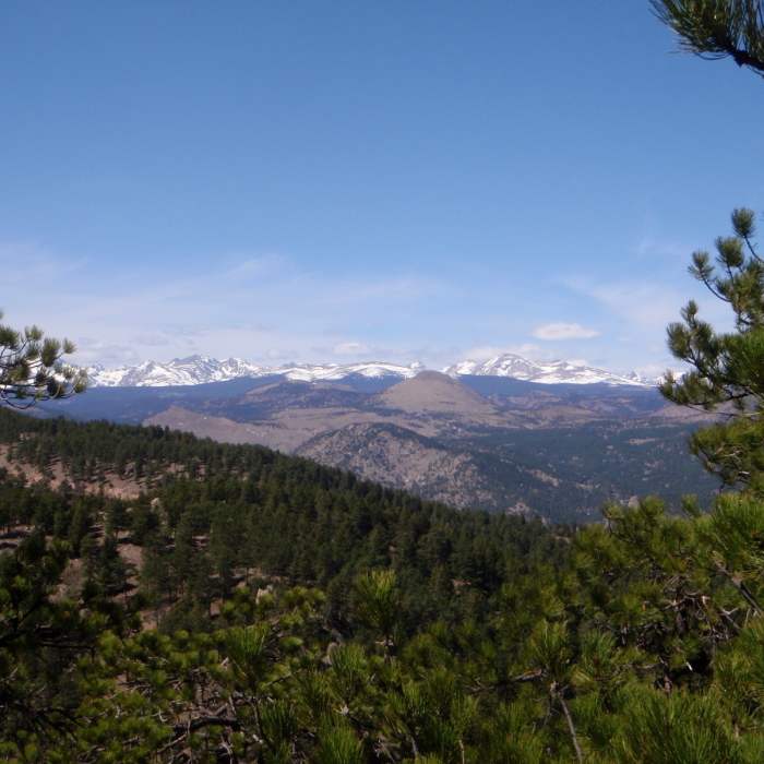Near Saddle Rock Trail