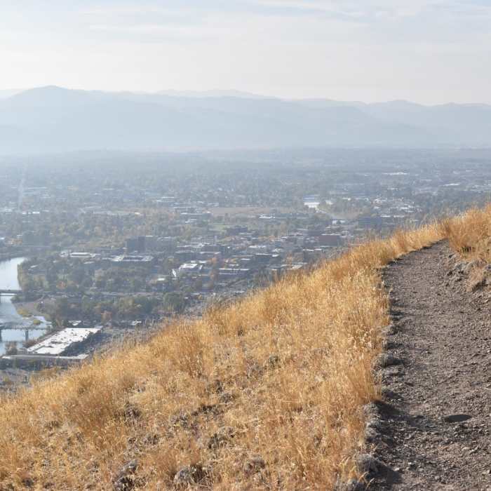 Near The L Trail + Mount Jumbo Summit Loop