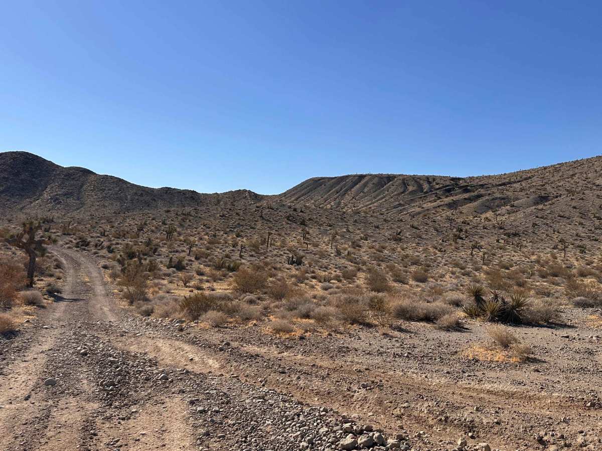 Open Range Trail photo 3