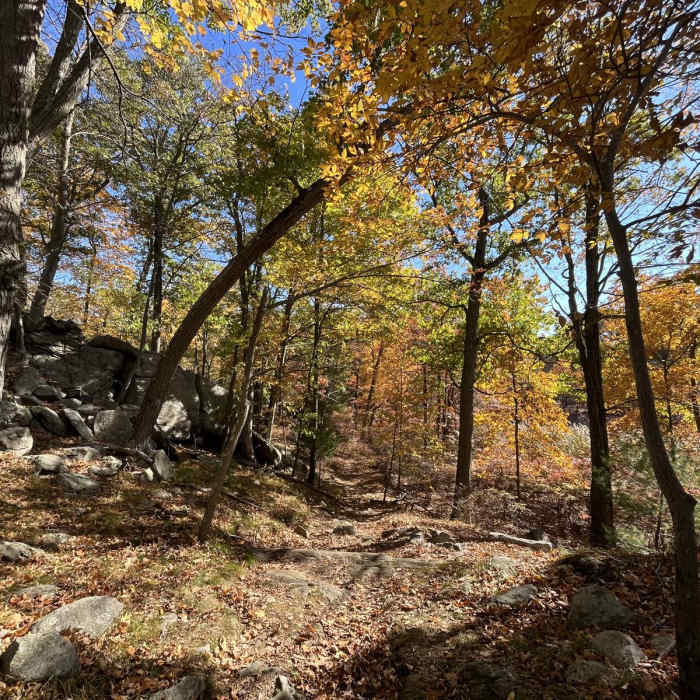 Near Tuxedo - Mt. Ivy Trail