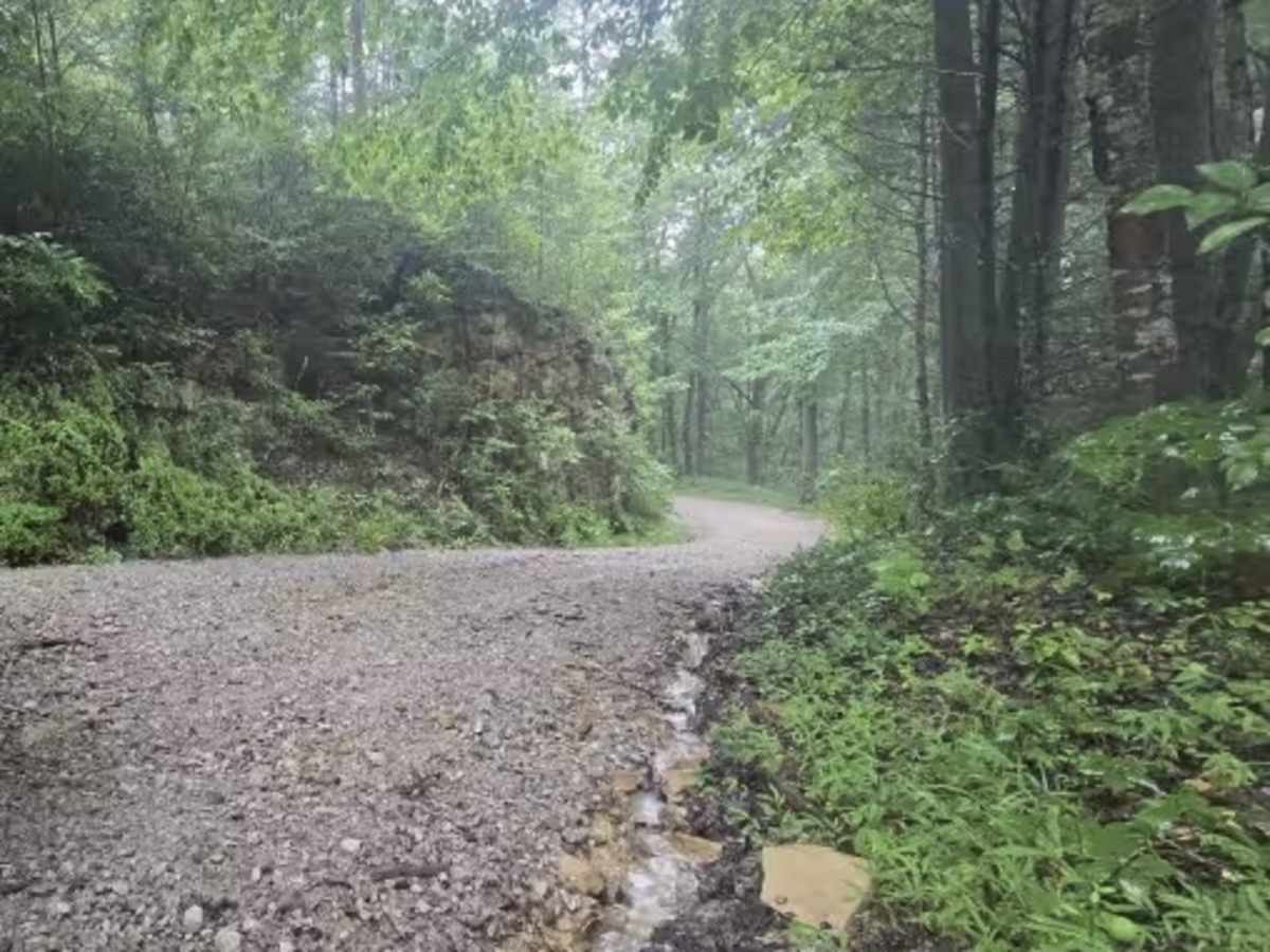 Laurel Ridge Road - FS 637 photo 5