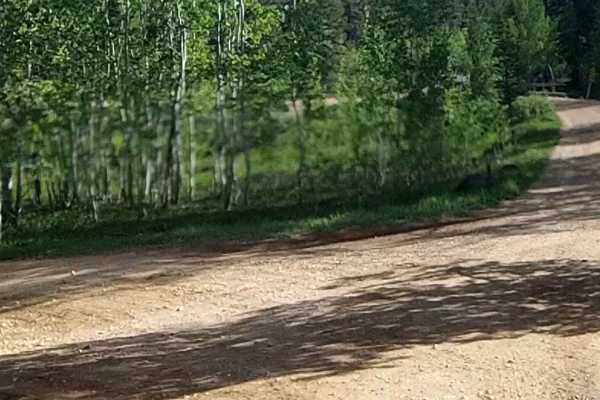 Sage Valley Road
