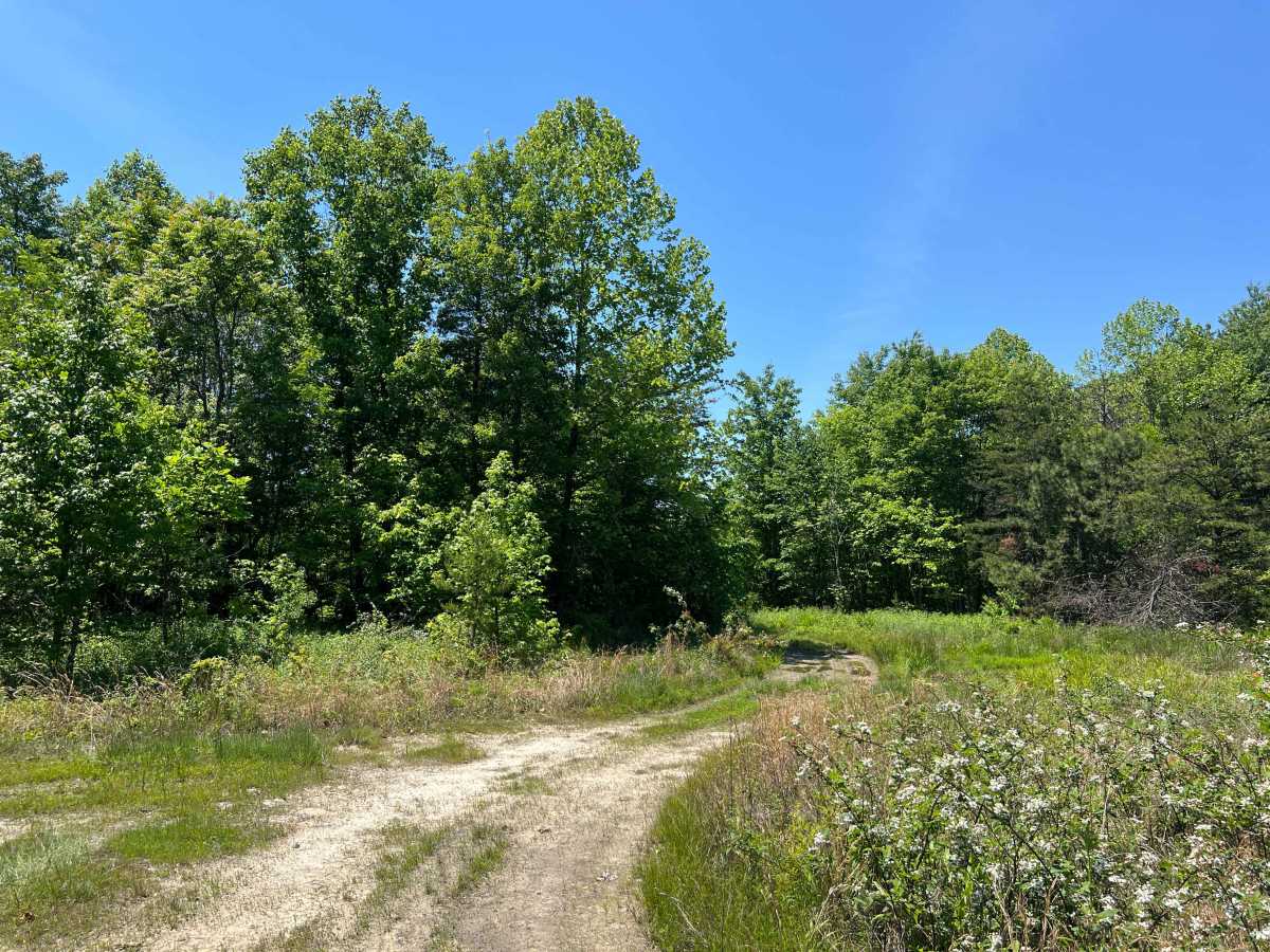 Q75A trail photo