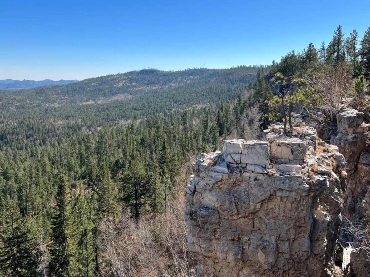 Ditch Creek trail photo