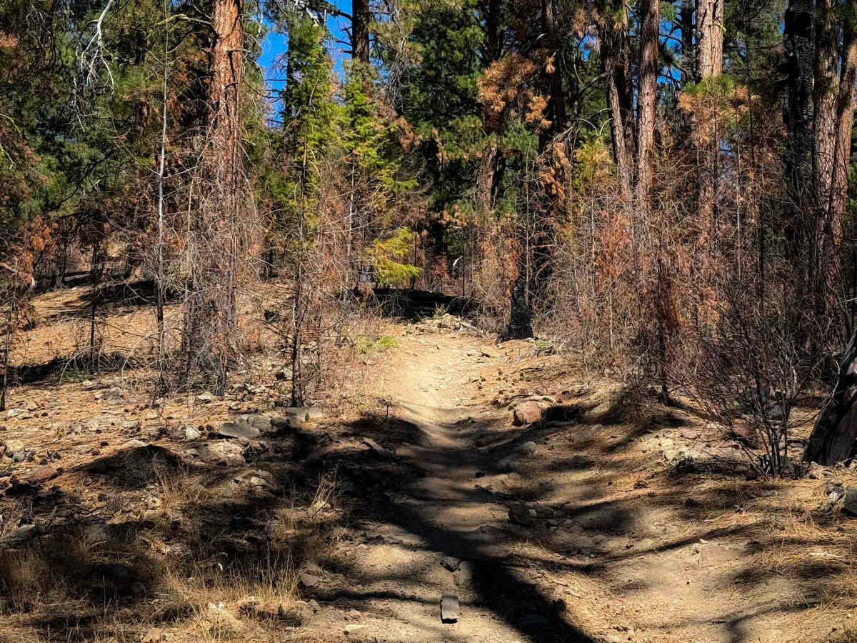 Red Hill Spur 1223.1 photo 6