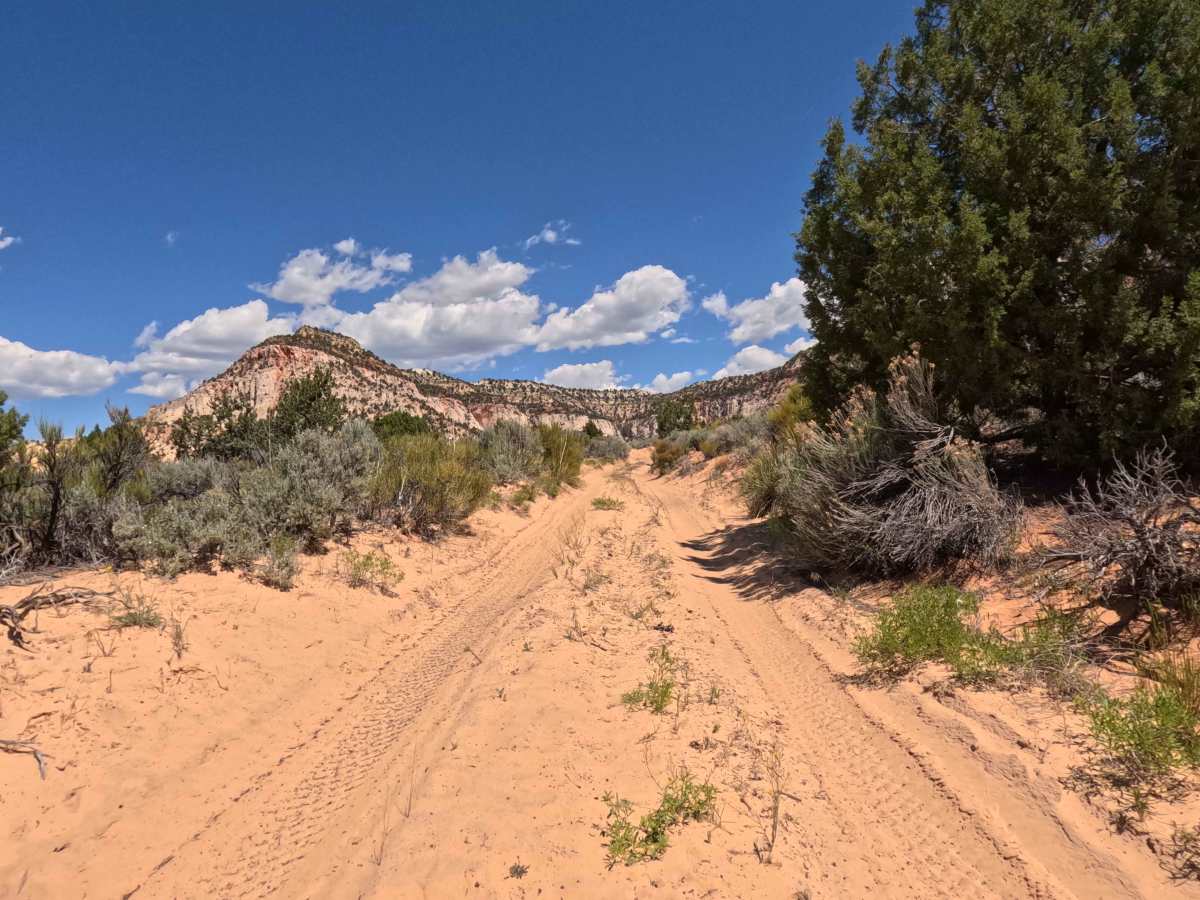 BLM 106Q photo 6