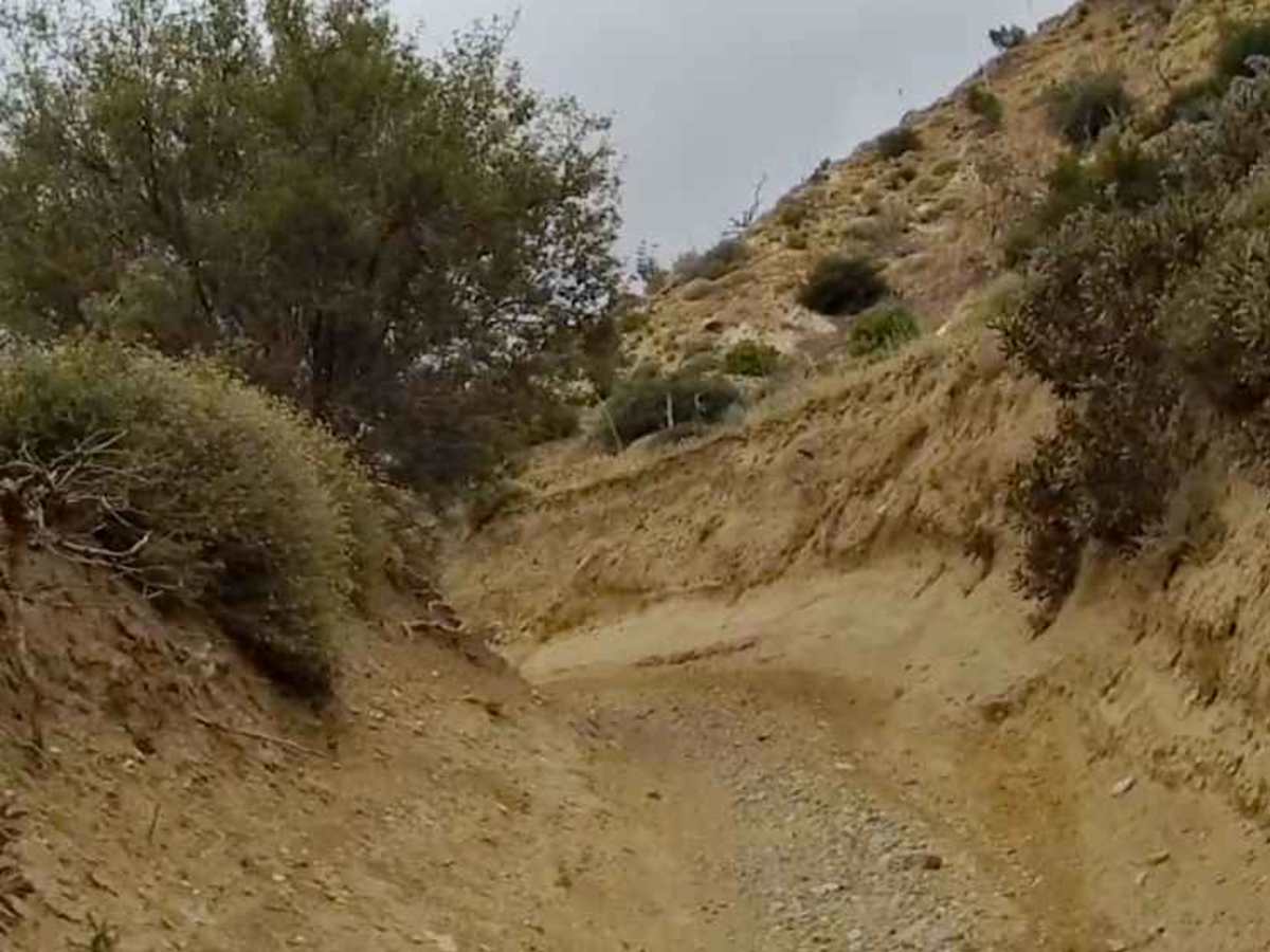 East Frazier Trail photo 5