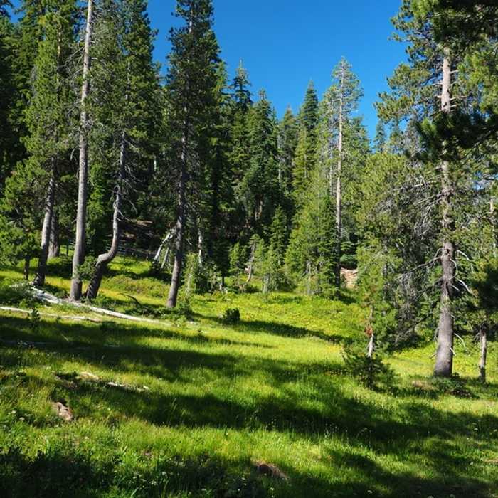 Near Fen Trail #5567