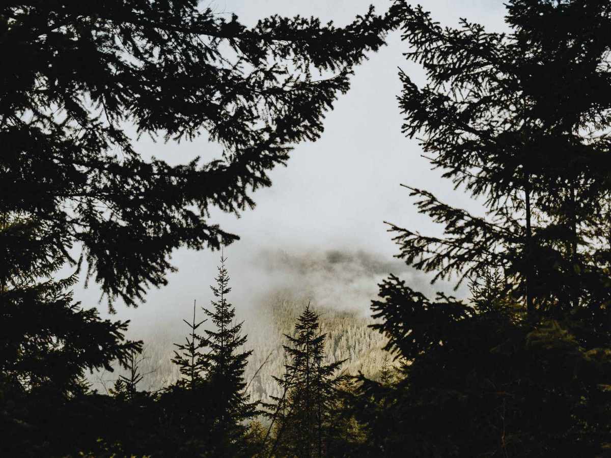 Overlook of Seattle Campsite photo 2