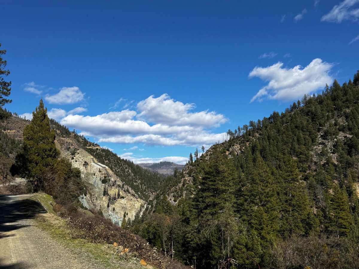 Caribou trail photo