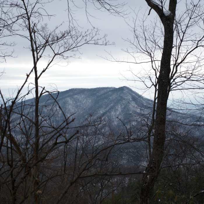 Near Little Greenbrier Trail